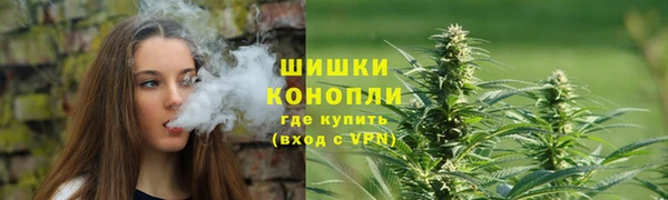 сатива Богородск