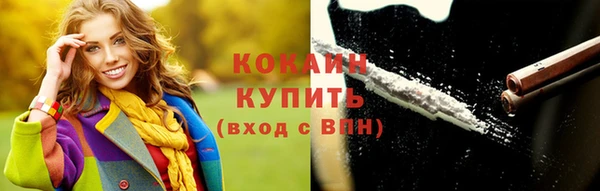 гашик Бородино