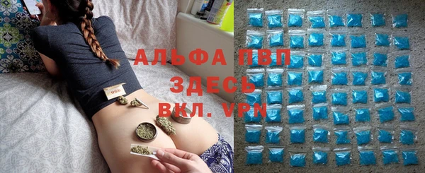 сатива Богородск