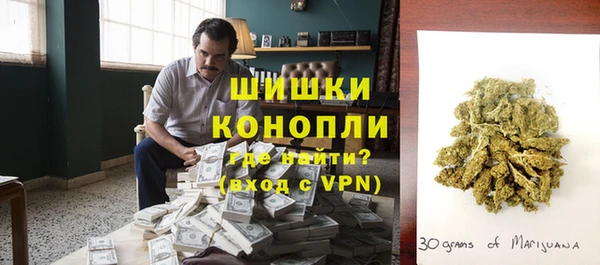 гашик Бородино